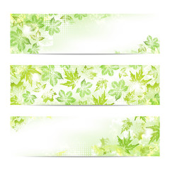 Spring leaves banners