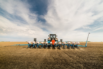 Obraz premium seeding crops at field