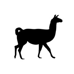  alpaca (vicuna, llama) vector silhouette