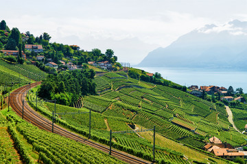 Fototapeta premium Railway line at Lavaux Vineyard Terraces Lake Geneva in Switzerland