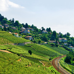 Fototapeta na wymiar Railway line at Lavaux Vineyard Terraces Switzerland