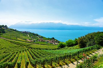 Fototapeta na wymiar Railway line at Lavaux Vineyard Terraces Lake Geneva of Switzerland