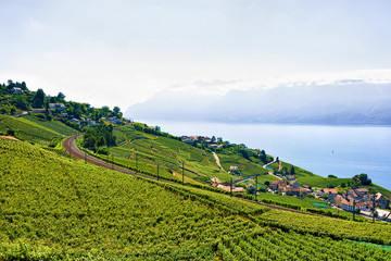 Fototapeta na wymiar Railway line in Lavaux Vineyard Terraces Lake Geneva in Swiss