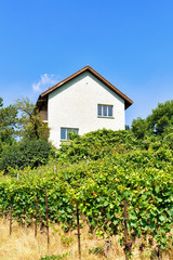 Fototapeta na wymiar Chalets in Lavaux Vineyard Terraces in Lavaux Oron Switzerland