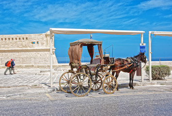 Horse fiacre at St Elmo fort in Valletta Malta