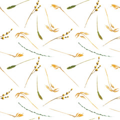 Seamless floral pattern with wheat spikelets and other dry grass hand drawn in watercolor on a white background