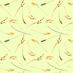 Seamless pattern with wheat spikelets and other dry grass hand drawn in watercolor on a light green background