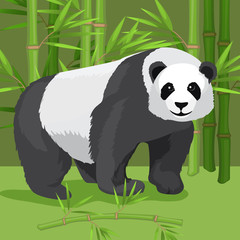 Black and white heavy panda stands on paws, bamboo background.