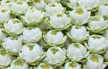 Lotus flower for buddhist religious ceremony