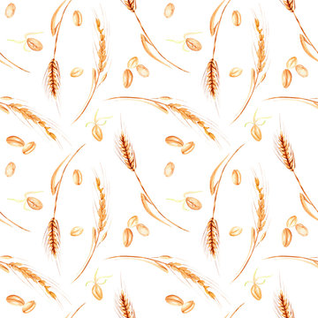 Seamless pattern with wheat spikelets and grains hand drawn in watercolor on a white background