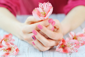 Woman hands with pink manicure on finger nails holding delicate flowers