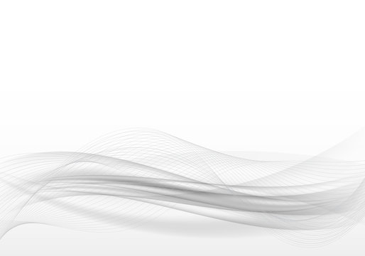 Abstract grey background.Transparent waves and lines on a white background.