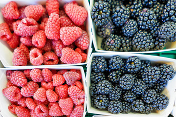 Mix of fresh raspberry and blackberry