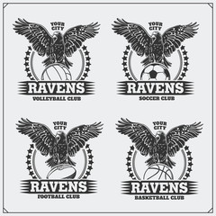 Volleyball, baseball, soccer and football logos and labels. Sport club emblems with raven.