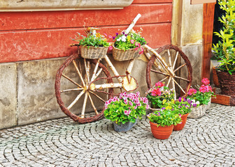 Fototapeta na wymiar Decorated flowerbed in old town of Wroclaw