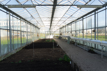 Greenhouse