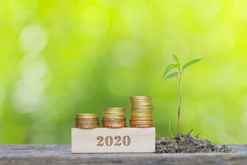 2020 Golden coin stacked with wooden bar on shallow DOF green background.