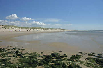 Beach Holland