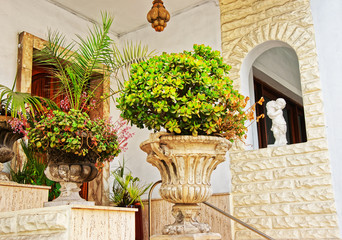 Fototapeta na wymiar Green plants at the house stairs at Mgarr