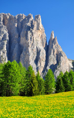 Beautiful mountain landscape in sunny spring day. Valle del Vajolet in Dolomites,Italien Alps