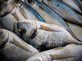 Fish ready for cooking