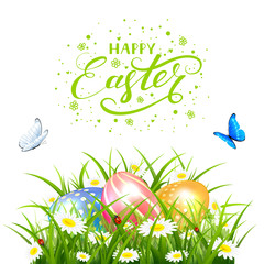 Easter eggs in grass with butterflies on white background