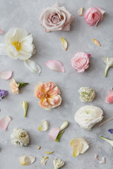 Background of flowers and petals