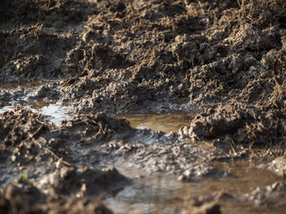 wet mud