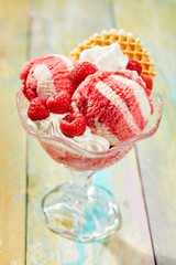 Raspberry and vanilla ice-cream dessert