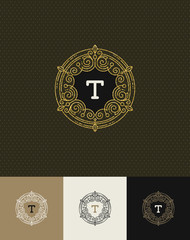 Flourishes glitter gold monogram logo. Vector illustration.