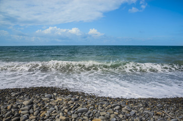 Coast of the Black Sea