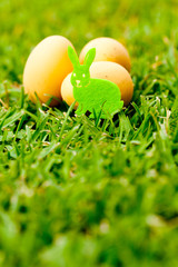 Easter - Bunny and eggs on natural grass background
