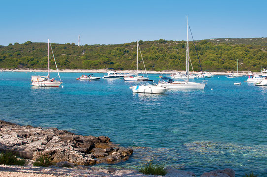 Fototapeta Transparent azure blue water of the lagoon, many yachts and hills covered in green forest near the rocky beach. Dugi otok, Croatia, summer