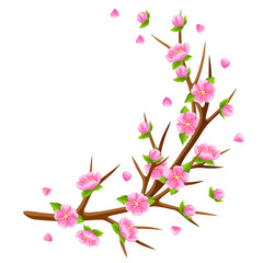 Spring branch of tree and sakura flowers. Seasonal illustration