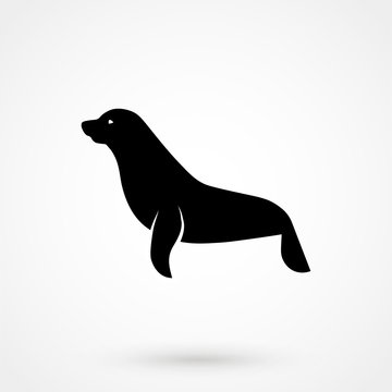 Vector images of sea lion on a white background