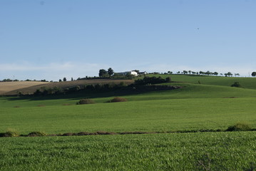 Green field in Andaluc&iacute;a