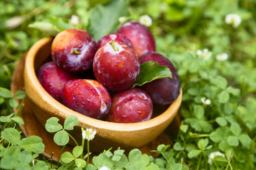 Naklejka na ściany i meble Fresh plums in wooden bowl