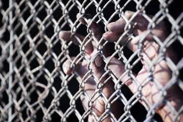 Fototapeta premium hand of prisoner in jail as background.