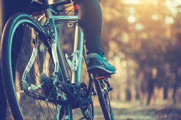 Obraz na płótnie Canvas cyclist riding mountain bike in the forest
