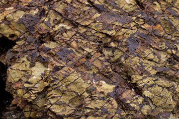close up of rock.