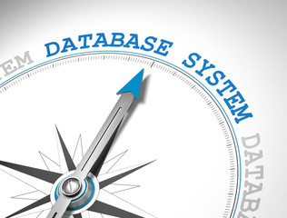 Database system