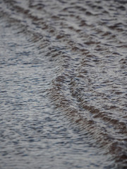 Water ripples