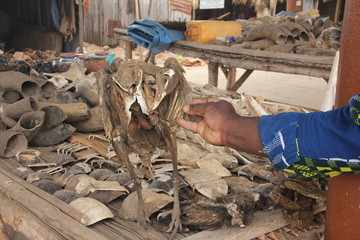 Vulture, Voodoo paraphernalia, Akodessawa Fetish Market, Lomé, Togo / This market is located in Lomé, the capital of Togo in West Africa and is is largest voodoo market in the world. 