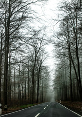 Morgentau liegt in der Luft