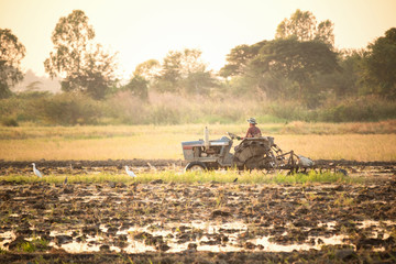 Farmer using tiller tractor in field at sunset in Thailand