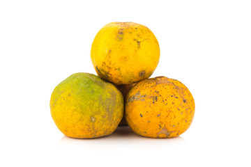 orange. rotten. dirty. three. isolated on white background