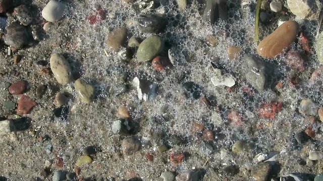 rocks on beach of baltic sea coastline of Wustrow and Ahrenshoop (Germany)