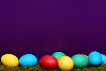 painted easter colorful eggs with green moss on violet background