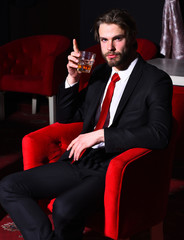 bearded man, businessman holding glass of whiskey in red chair