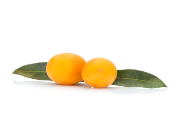 Marian plum Thai fruit isolated on white background. Mayongchid. Maprang. Marian Plum. Plum Mango